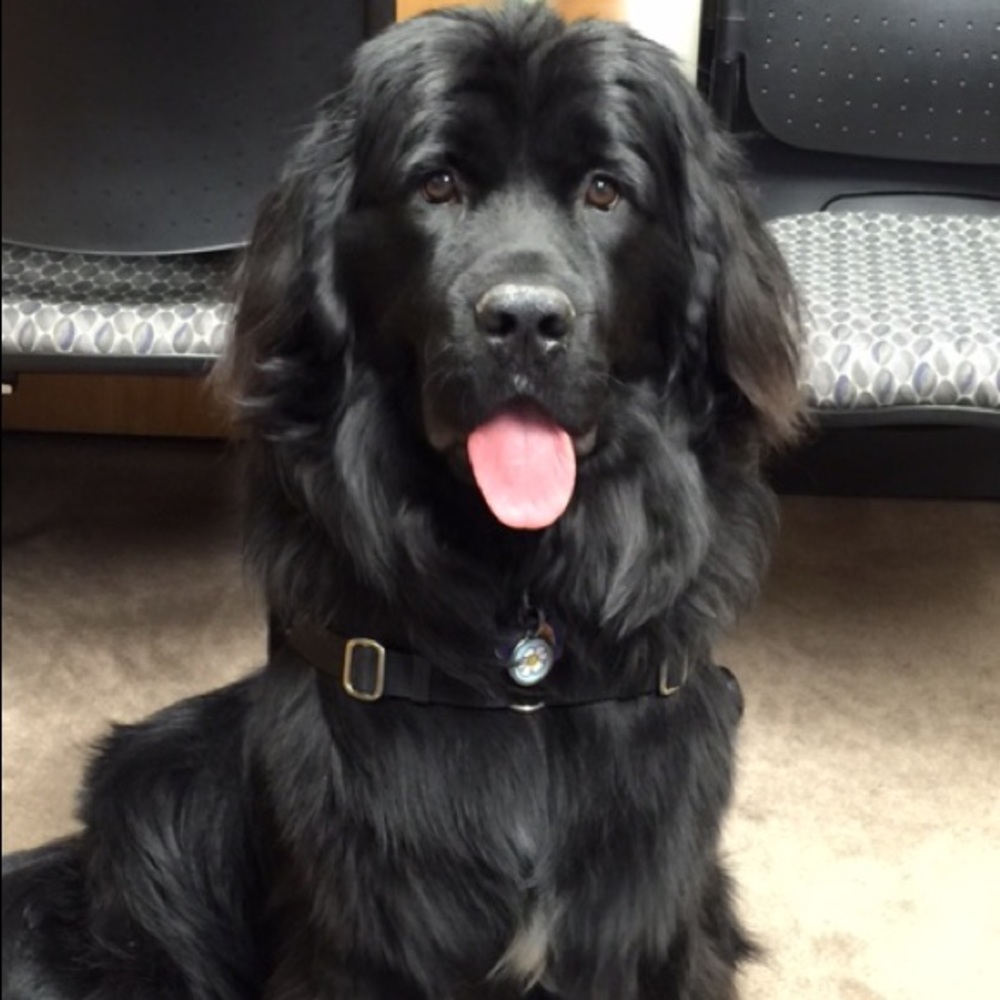 Welcome to my Closet!